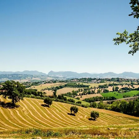 Villa Santa Elisabetta, Together Again Surrounded By Nature